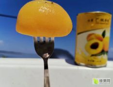 桃乡情黄桃罐头-正宗安徽砀山桃罐头，支持一件代发