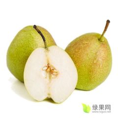 正宗库尔勒香梨