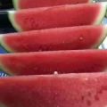 夏邑8424西瓜代收代发全国