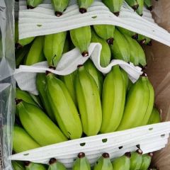 中粉蕉，靓粉蕉，下等粉蕉，香蕉，苹果蕉，适合各种市场