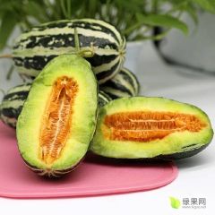 博洋9号大量上市 大量供应 产地直达