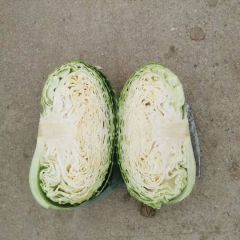 本人种植大面积瓜果蔬菜，有南瓜，西瓜，冬瓜