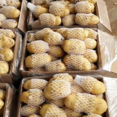 肥城冷库土豆，质量保证！