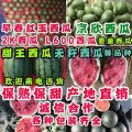 保熟保甜 产地直销 红瓤黑籽 质量好 价格低 大棚看货 头茬瓜