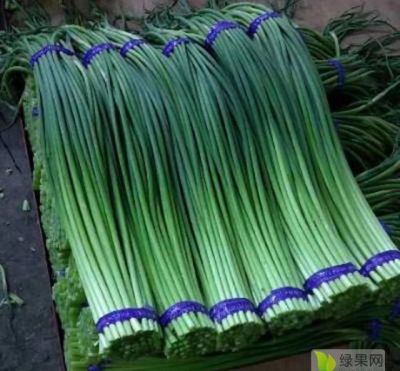 2020年山东金乡红帽蒜苔价格