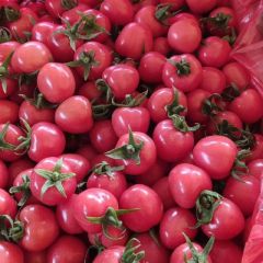 千禧，贝贝基地种植大量上货！！