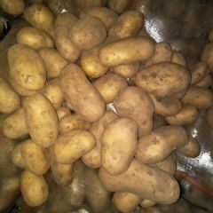 欢迎各界客商光临指导。需求土豆就到沽源来。