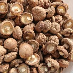 常年大量供应干香菇冬菇花菇，批发零售兼顾，选货统