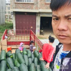 2020年，坛洛金光大量供应黑皮地瓜