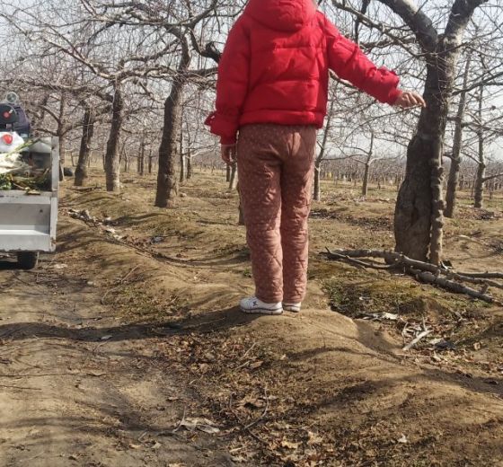 2020年山西万荣万荣代办价格
