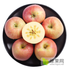 红富士苹果产地，山西运城红富士苹果产地介绍