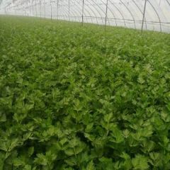 欢迎新老客户前来，一次合作终身朋友