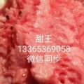 大量供应甜王京欣系列，早春红玉，2K,L600，无子墨瞳