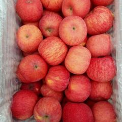 宜川75不封顶高次，