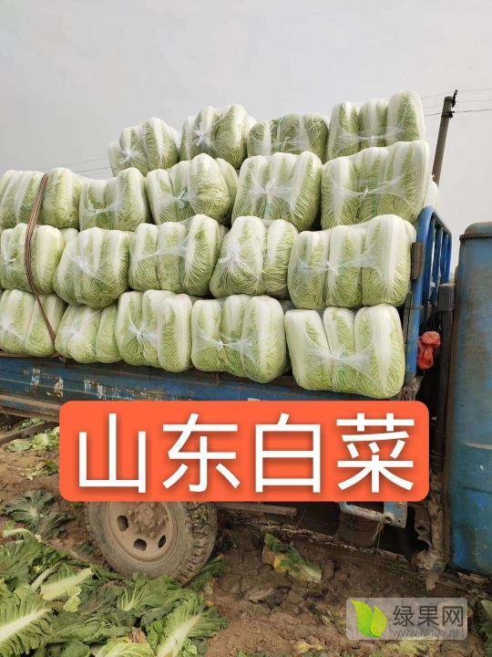 2020年山东肥城北京新三号价格