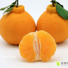 丑柑，丑八怪，酸甜