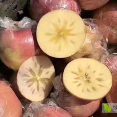 冰糖心丑苹果产地直邮