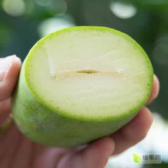 电商求购象牙芒青芒合作，价格优势的联系