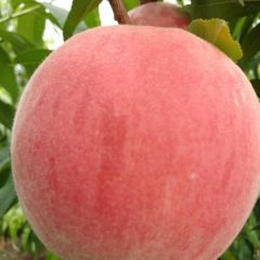 本人从事代办15年，一次合作！一生朋友！