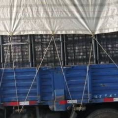 红富士，鸭梨，黄冠梨