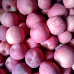 本人代办苹果，梨子。，桃子！