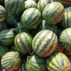 本地甜王西瓜 口感好