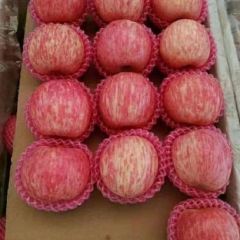 红富士苹果 生姜 货源充足 质优价廉