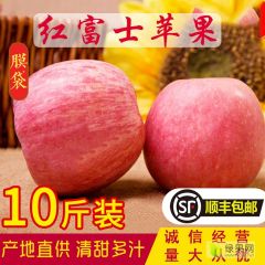 山西冰糖心苹果10斤箱装 25元顺丰包邮 可代发