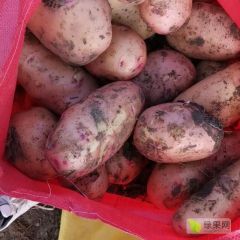 三两以上无眼 有货的发视频图片给我看看