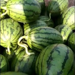 全美2k小型西瓜价格美超糖