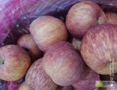 十亩苹果园农家自产，可代收代办苹果