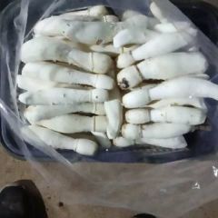 优质鸡腿菇，绿色认证，质优价美