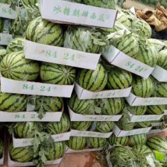 夏邑西瓜量大，瓜好，无畸形