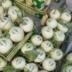 玉菇甜瓜大量上市价格便宜质量高