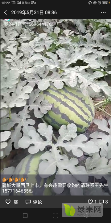 甜王系列价格