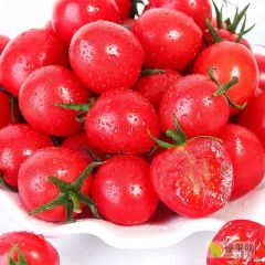 各种品种圣女果上市