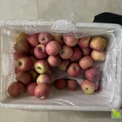 采购红富士苹果！