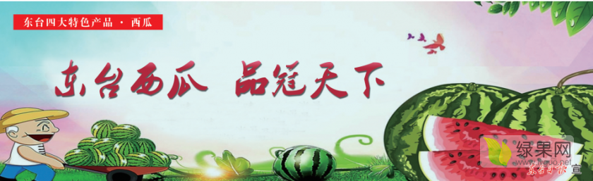 2020年江苏东台8424西瓜价格