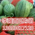 山东潍坊西瓜 早春红玉西瓜2k西瓜大量供应