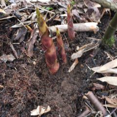 世界硒都农产品