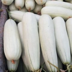 莘县成祥农副产品购销服务有限公司专业代收代卖香瓜甜瓜礼品小西瓜需。。