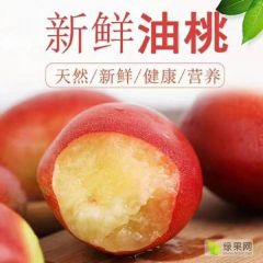 湖北宜城油桃、毛桃五月中旬上市