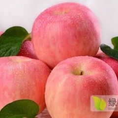 求购高品质红富士