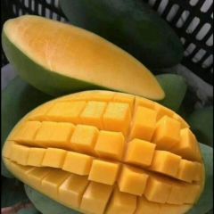 越南大青芒，一件代发