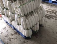 天门张港蔬菜产销专业合作社每天海量供货！