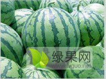东台精品美都西瓜