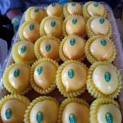 乐亭油桃滞销了，便宜了