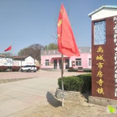 山东省禹城市房寺镇2000吨西红柿欢迎合作