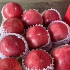 陕北纸袋秦冠85以上商品货。13636855618