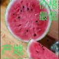 眉山青神香甜西瓜，让您吃出夏天的味道儿